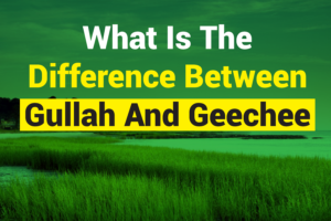 What Is The Difference Between Gullah And Geechee? Understanding The ...