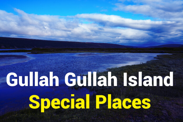 Gullah Gullah Island Special Places: An Ultimate Guide - The Gullah Society